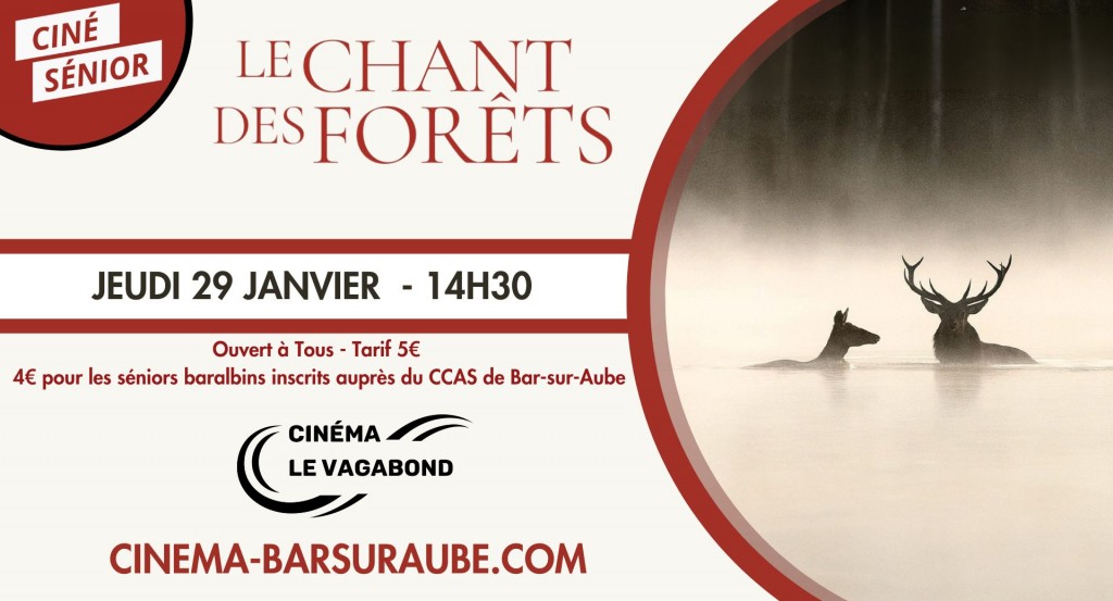 actualité CS - Le Chant des Forêts