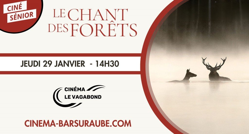 actualité CS - Le Chant des Forêts